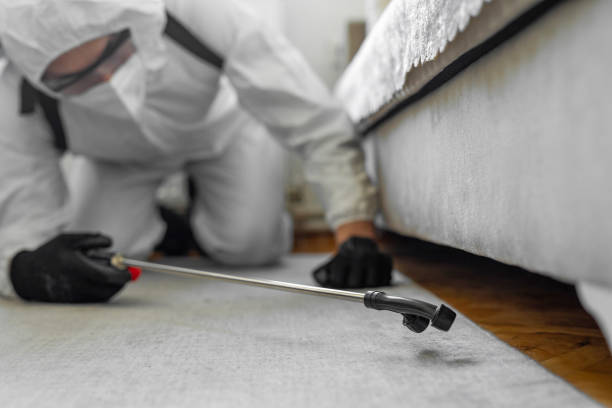 Professional Cockroach Control technician working in Rosanky, TX